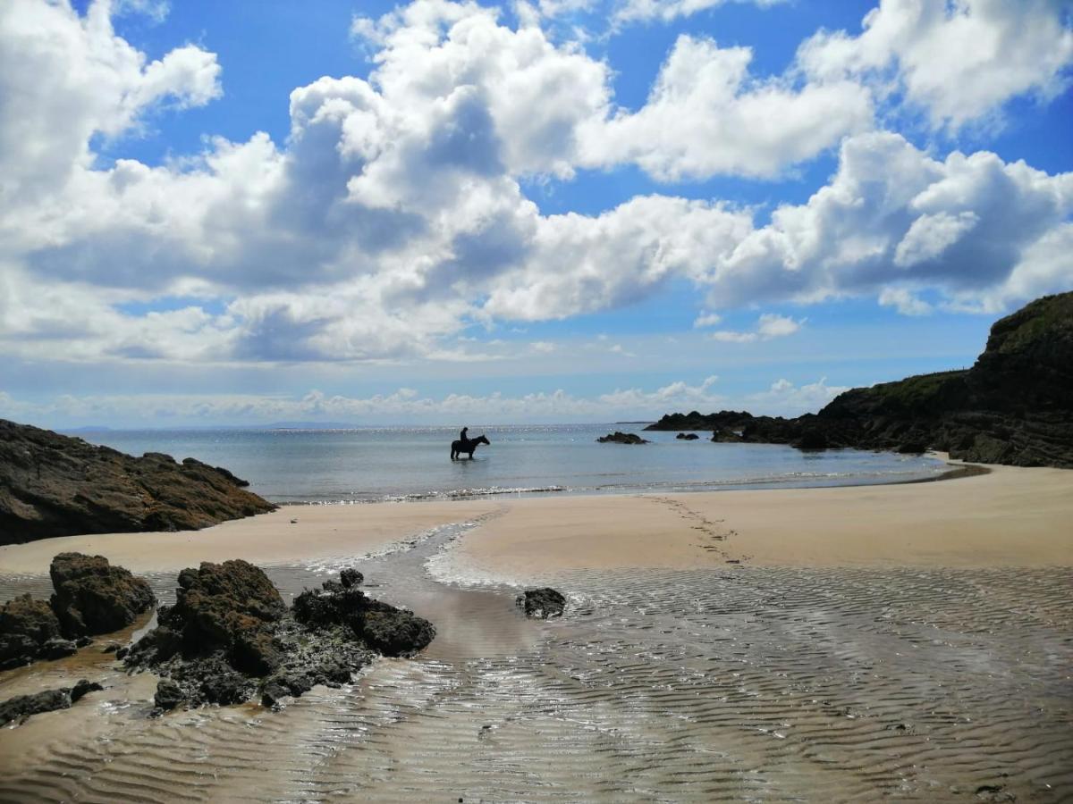 Seawinds Bed And Breakfast Killybegs Buitenkant foto